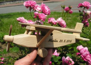 Pilatus Typ Holzflugzeug