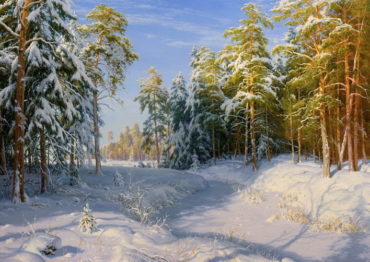 zima priroda Zima - Plagáty, Obrazy a Fotografie